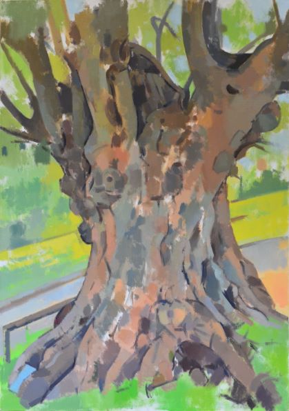 The Tolpuddle Martyr's Tree, R. A. Brooks, Summer 2019 (70x100)